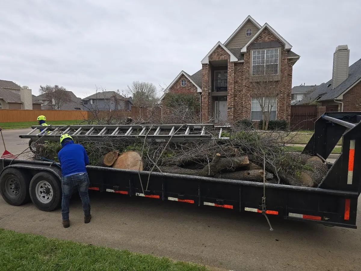Expert Deadwooding with proper safety equipment in Houma